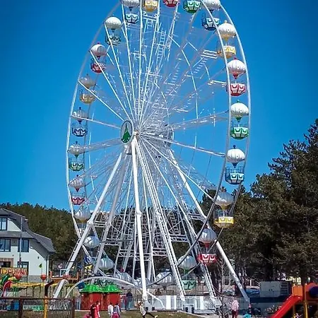 Nit * 兹拉蒂博尔