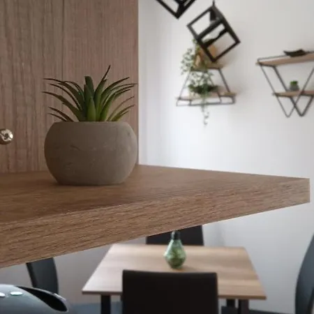 Nit * 兹拉蒂博尔